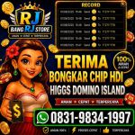 thumbnail-terima-bongkar-chip-hdi-higgs-domino-island-dan-royal-dream-wa-0831-9834-1997-0