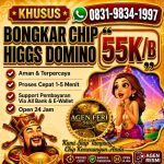 thumbnail-khusus-terima-bongkar-chip-domino-island-higgs-buka-24jam-wa0831-9834-1997-0