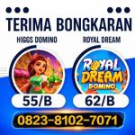 thumbnail-terima-bongkar-chip-higgs-domino-terpercaya-buka-24-jam-amanah-0
