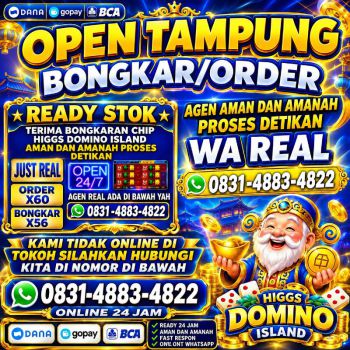 TERIMA BONGKAR CHIP HDI HIGGS DOMINO ISLAND DAN ROYAL DREAM WA 0831-4883-4822
