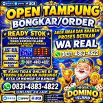 thumbnail-terima-bongkar-chip-hdi-higgs-domino-island-dan-royal-dream-wa-0831-4883-4822-0