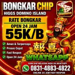 thumbnail-khusus-terima-bongkar-chip-domino-island-higgs-buka-24jam-wa0831-4883-4822-0