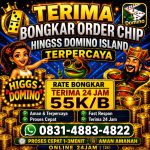 thumbnail-terima-bongkaran-chip-higgs-domino-island-amanah-dan-terpercaya-wa-083148834822-0