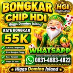 thumbnail-khusus-terima-bongkar-chip-domino-island-higgs-buka-24jam-wa0831-4883-4822-0