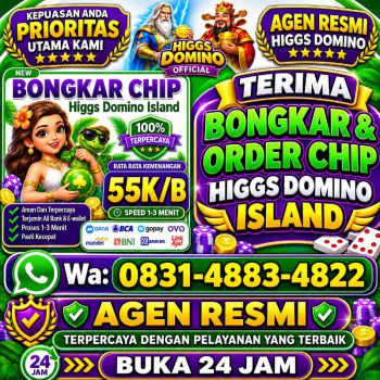 TERIMA BONGKAR CHIP HDI HIGGS DOMINO ISLAND JUAL BELI CHIP HDI WA 083148834822