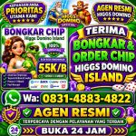 thumbnail-terima-bongkar-chip-hdi-higgs-domino-island-jual-beli-chip-hdi-wa-083148834822-0