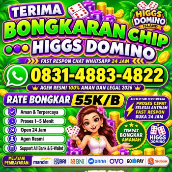 TERIMA BONGKAR CHIP HDI HIGGS DOMINO ISLAND JUAL BELI CHIP HDI WA 083148834822