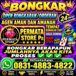 thumbnail-khusus-terima-bongkar-chip-domino-island-higgs-buka-24jam-wa0831-4883-4822-0