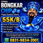 thumbnail-terima-bongkar-chip-hdi-higgs-domino-island-jual-beli-chip-hdi-wa-083198342001-0
