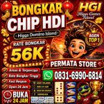 thumbnail-khusus-terima-bongkar-chip-domino-island-higgs-buka-24jam-proses-cepat-0