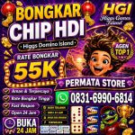 thumbnail-khusus-terima-bongkar-chip-domino-island-higgs-buka-24jam-proses-cepat-0