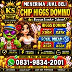 thumbnail-terima-bongkar-chip-hdi-higgs-domino-island-dan-royal-dream-wa-0831-9834-2001-0