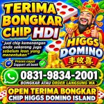 thumbnail-terima-bongkar-chip-hdi-higgs-domino-island-jual-beli-chip-hdi-wa-083198342001-0
