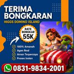 thumbnail-khusus-terima-bongkar-chip-domino-island-higgs-buka-24jam-wa0831-9834-2001-0