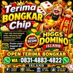 thumbnail-khusus-terima-bongkar-chip-domino-island-higgs-buka-24jam-wa0831-4883-4822-0