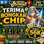 thumbnail-terima-bongkar-chip-hdi-higgs-domino-island-jual-beli-chip-hdi-wa-083148834822-0