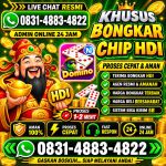 thumbnail-terima-bongkar-chip-hdi-higgs-domino-island-jual-beli-chip-hdi-wa-083148834822-0