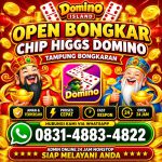 thumbnail-terima-bongkar-chip-hdi-higgs-domino-island-dan-royal-dream-wa-0831-4883-4822-0