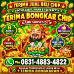 thumbnail-terima-bongkar-chip-hdi-higgs-domino-island-jual-beli-chip-hdi-wa-083148834822-0