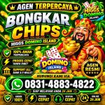 thumbnail-terima-bongkaran-chip-higgs-domino-island-amanah-dan-terpercaya-wa-083148834822-0
