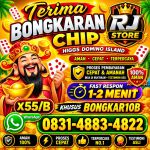 thumbnail-khusus-terima-bongkar-chip-domino-island-higgs-buka-24jam-wa0831-4883-4822-0