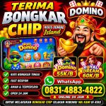 thumbnail-terima-bongkar-chip-hdi-higgs-domino-island-jual-beli-chip-hdi-wa-083148834822-0