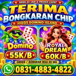 thumbnail-terima-bongkar-chip-hdi-higgs-domino-island-dan-royal-dream-wa-0831-4883-4822-0