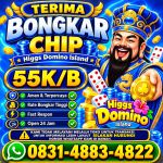 thumbnail-khusus-terima-bongkar-chip-domino-island-higgs-buka-24jam-wa0831-4883-4822-0