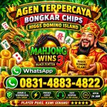 thumbnail-terima-bongkaran-chip-higgs-domino-island-amanah-dan-terpercaya-wa-083148834822-0