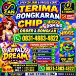 thumbnail-khusus-terima-bongkar-chip-domino-island-higgs-buka-24jam-wa0831-4883-4822-0