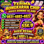 thumbnail-terima-bongkar-chip-hdi-higgs-domino-island-dan-royal-dream-wa-0831-4883-4822-0