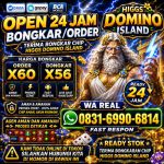 thumbnail-terima-bongkar-chip-higgs-domino-island-agen-buka-24jam-0