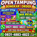 thumbnail-khusus-terima-bongkar-chip-domino-island-higgs-buka-24jam-wa0831-4883-4822-0