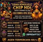 thumbnail-agen-terima-bongkar-chip-hdi-higgs-domino-island-buka-24jam-0