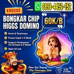 thumbnail-khusus-terima-bongkar-chip-higgs-domino-island-buka-24jam-wa0898-4452-152-0