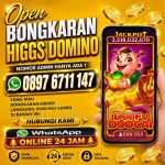 thumbnail-terima-bongkaran-chip-higgs-domino-island-aman-dan-amanah-0