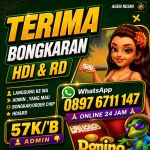 thumbnail-terima-bongkaran-chip-higgs-domino-island-agen-0897-6711-147-1
