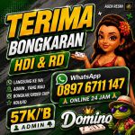 thumbnail-khusus-terima-bongkaran-chip-higgs-domino-island-wa-0897-6711-147-0