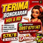 thumbnail-khusus-terima-bongkaran-chip-higgs-domino-island-wa-0897-6711-147-1