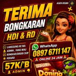 thumbnail-khusus-terima-bongkar-chip-domino-island-higgs-buka-24jam-wa0897-6711-147-0