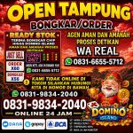 thumbnail-khusus-terima-bongkar-chip-domino-island-higgs-buka-24jam-wa0831-9834-2040-0