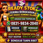 thumbnail-khusus-terima-bongkar-chip-domino-island-higgs-buka-24jam-wa0831-9834-2040-0