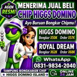 thumbnail-terima-bongkar-chip-hdi-higgs-domino-island-dan-royal-dream-wa-0831-9834-2040-0
