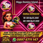 thumbnail-khusus-terima-bongkar-chip-domino-island-higgs-buka-24jam-wa0897-6711-147-0