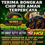 thumbnail-terima-bongkar-chip-domino-island-higgs-buka-24jam-wa0897-6711-147-0