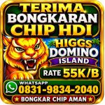 thumbnail-khusus-terima-bongkar-chip-domino-island-higgs-buka-24jam-wa0831-9834-2040-0