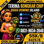 thumbnail-terima-bongkar-chip-hdi-higgs-domino-island-jual-beli-chip-hdi-wa-083198342040-0