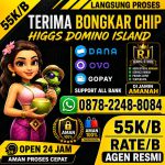 thumbnail-terima-bongkar-chip-hdi-rate-55kb-aman-amanah-wa-0878-2248-8084-0