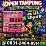 thumbnail-agen-resmi-terima-bongkar-chip-domino-island-higgs-buka-24jam-proses-cepat-0