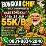 thumbnail-khusus-terima-bongkar-chip-domino-island-higgs-buka-24jam-wa0831-9834-2040-0